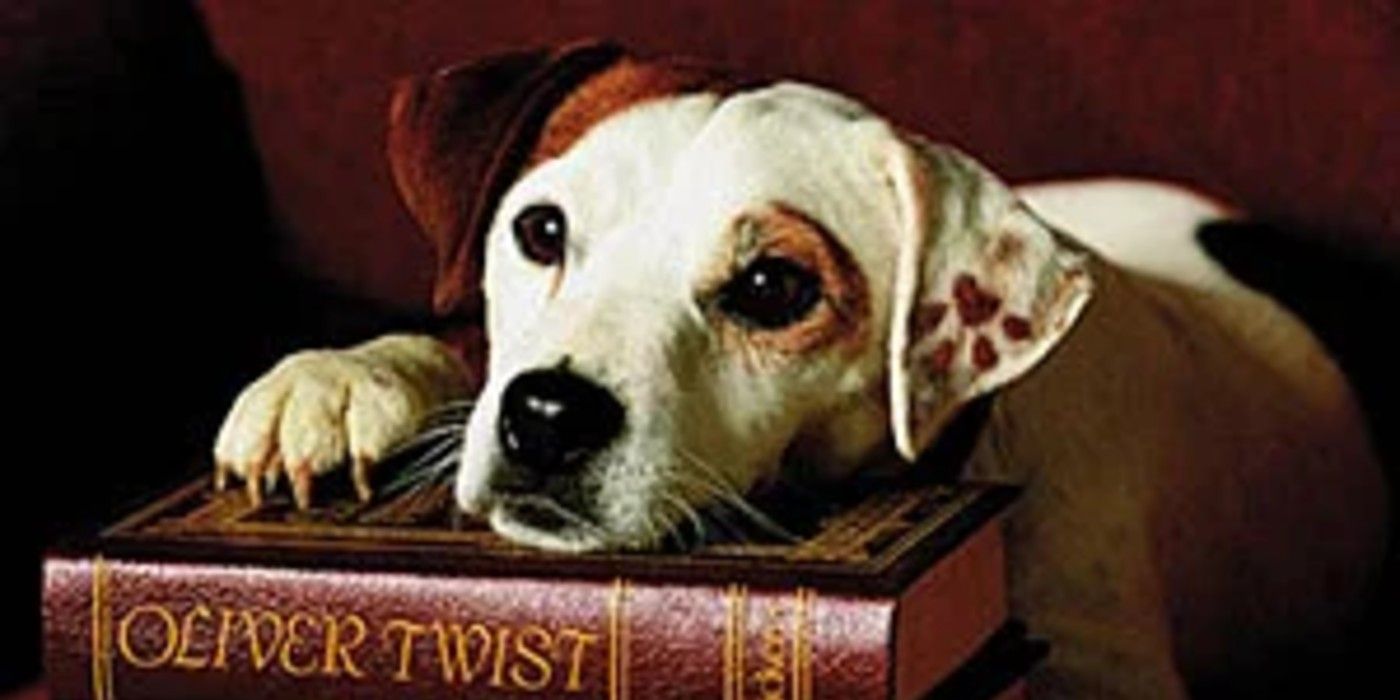 Wishbone Live Action Feature In Development Cbr