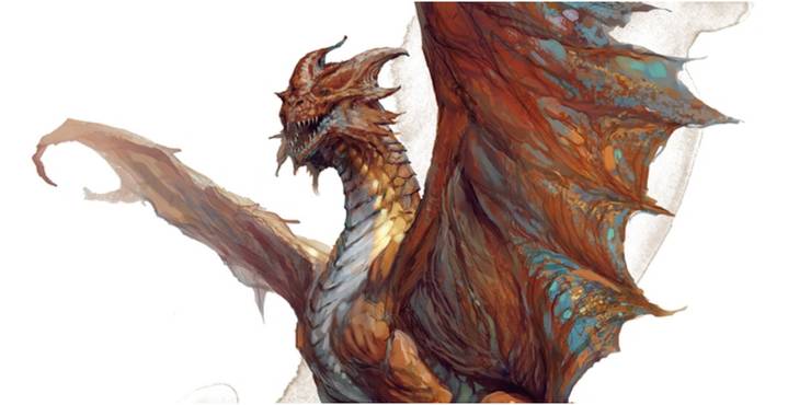 Featured image of post Dragon Years To Human Years Dnd Perhaps it is because of their shorter lives that they strive to achieve as much as they can in the years they are given