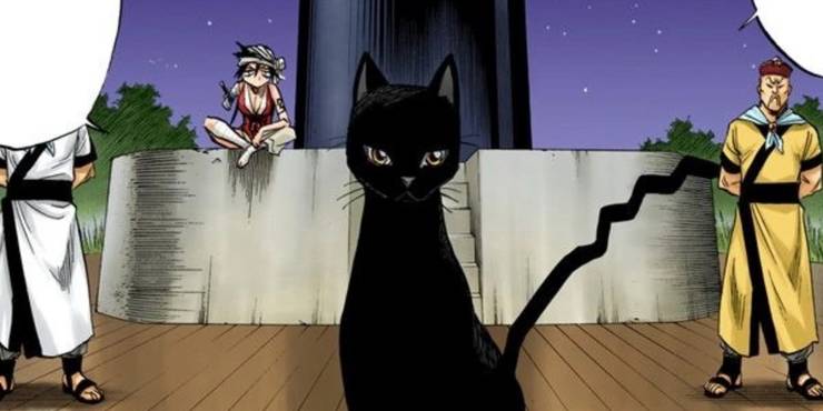 Yoruichi come un gatto nero