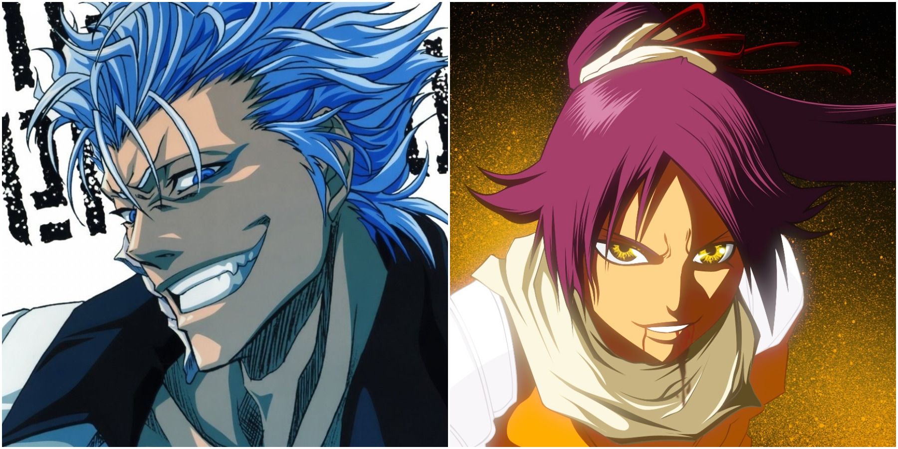 Bleach: Grimmjow Vs Yoruichi: Who Would Win? | CBR