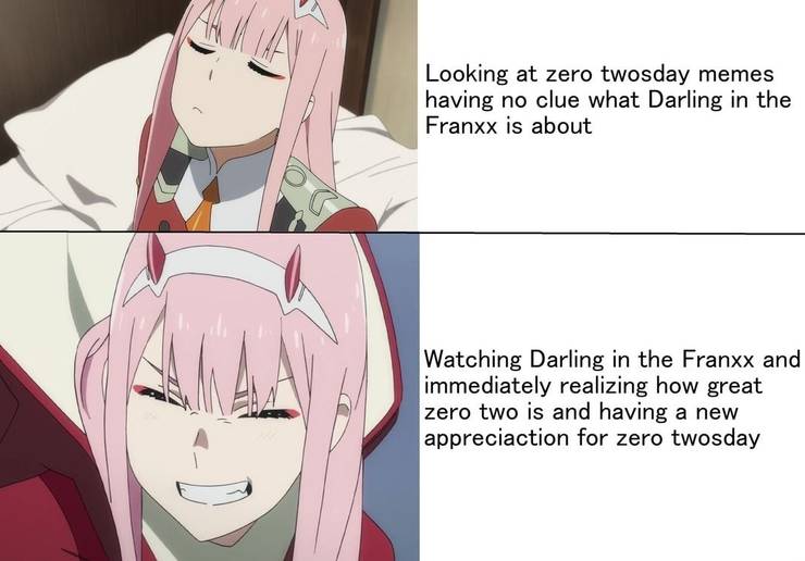 10 Darling In The Franxx Memes Only True Fans Understand Cbr 10 Darling In The Franxx Memes Only True Fans Understand Cbr