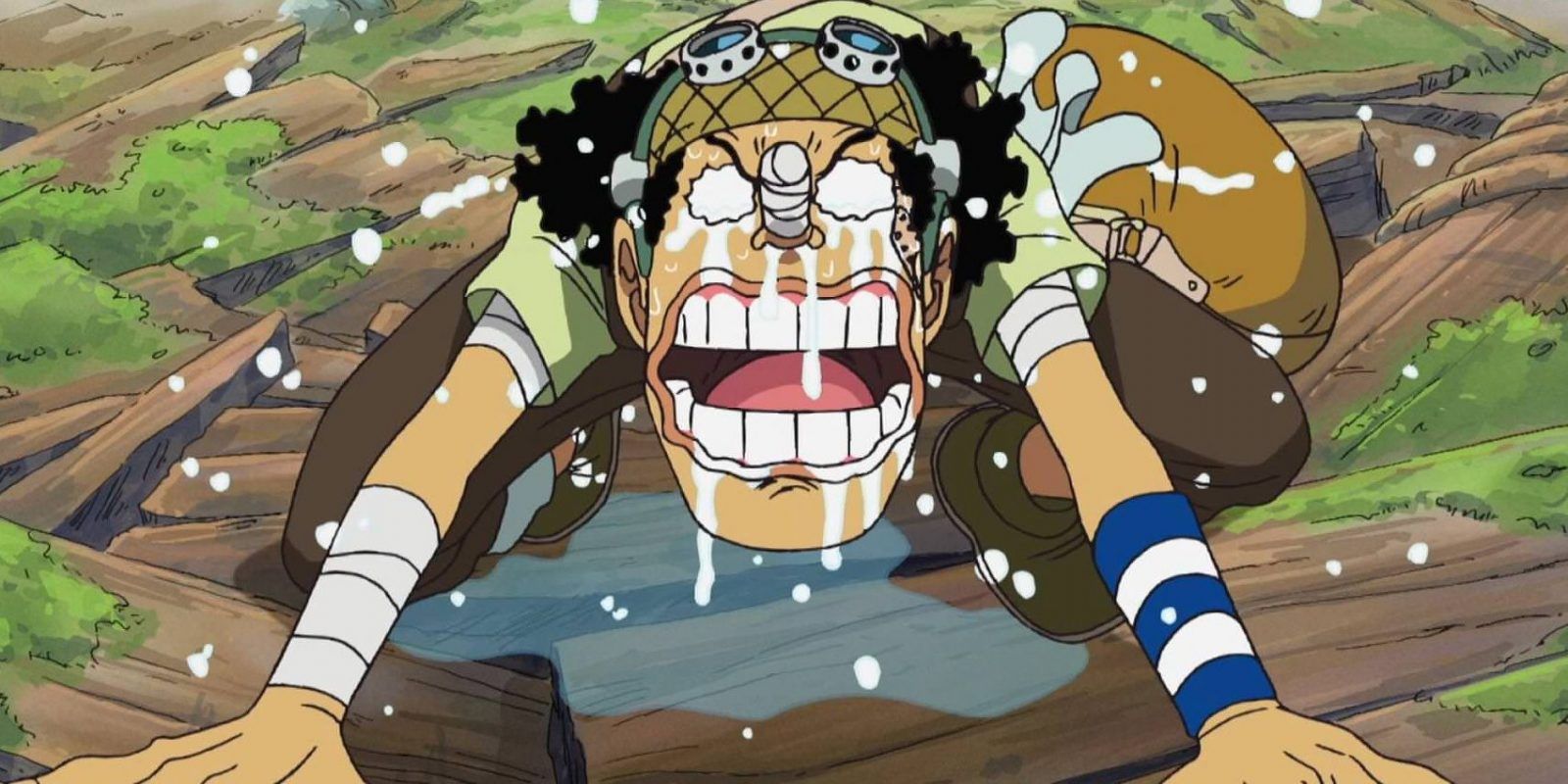 8. Usopp Possesses Bravado Without Power (One Piece). 