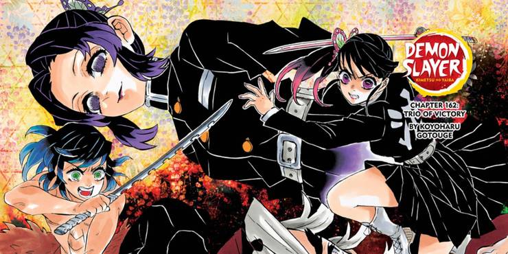 Demon Slayer Vol 19 Shinobu S Secret Is Revealed As The Hashira Are Tested Demon Slayer Vol 19 Shinobu S Secret Is Revealed As The Hashira Are Tested