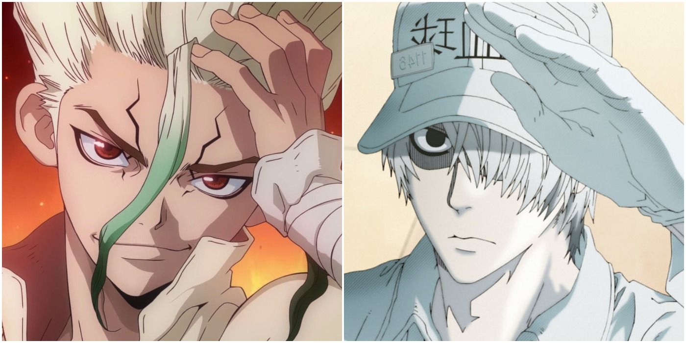 10 Anime To Watch If You Liked Cells At Work Cbr