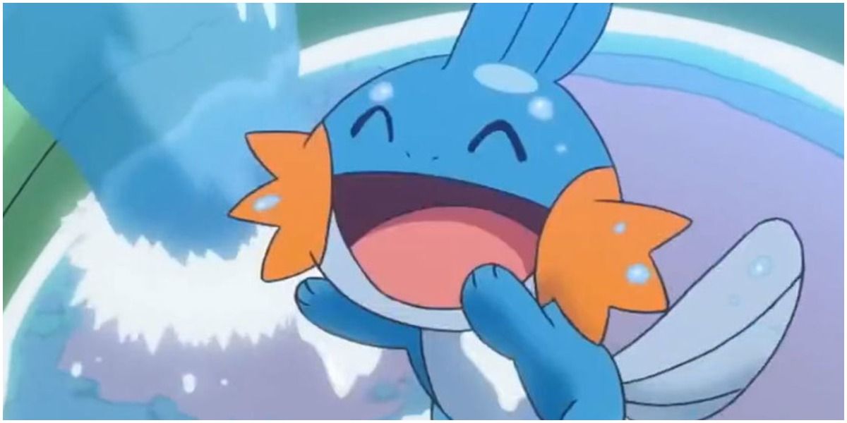 Pokémon 10 Things About The Anime That Annoyed Fans Of The Games
