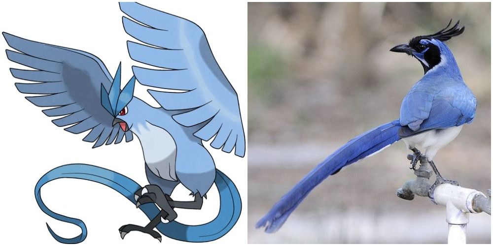 10 Pokémon That Are Basically Real Animals