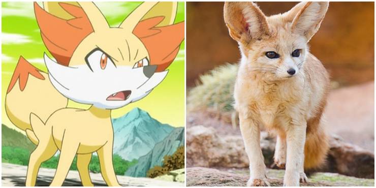 10 Pokemon That Are Basically Real Animals Cbr 10 Pokemon That Are Basically Real Animals Cbr