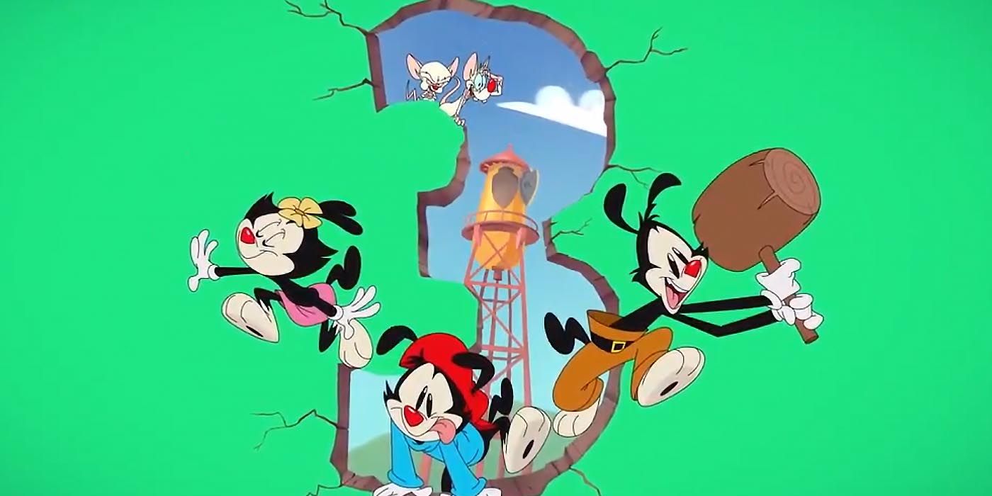 download animaniacs new series