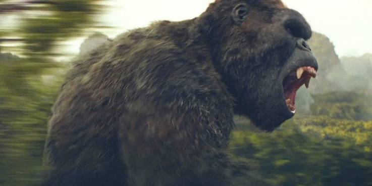 Best To Worse Monster-Verse Movies According To The Critics! 7 kong skull island scene.jpg?q=50&fit=crop&w=737&h=368&dpr=1