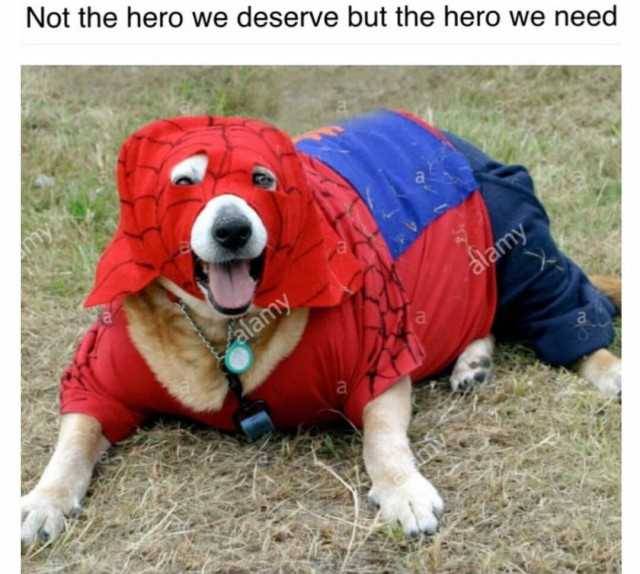 not the hero we deserve but the hero we need heIys