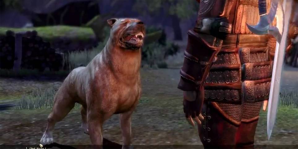 Dragon Age Origins Every Companion Ranked Cbr Dragon Age Origins Every Companion Ranked Cbr