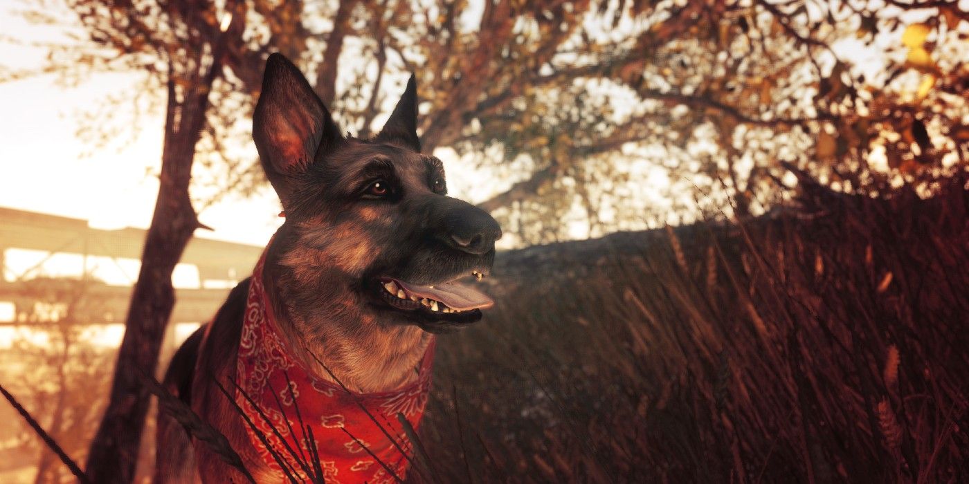 Fallout 4's Dogmeat Inspiration Passes Away | CBR