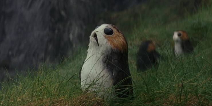 Star Wars: How a Porg Became a Pirate | CBR