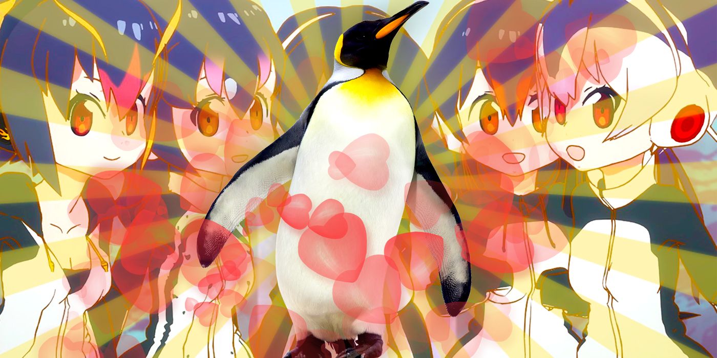 How Anime Saved A Tragic Real Life Penguin S Love Life Cbr