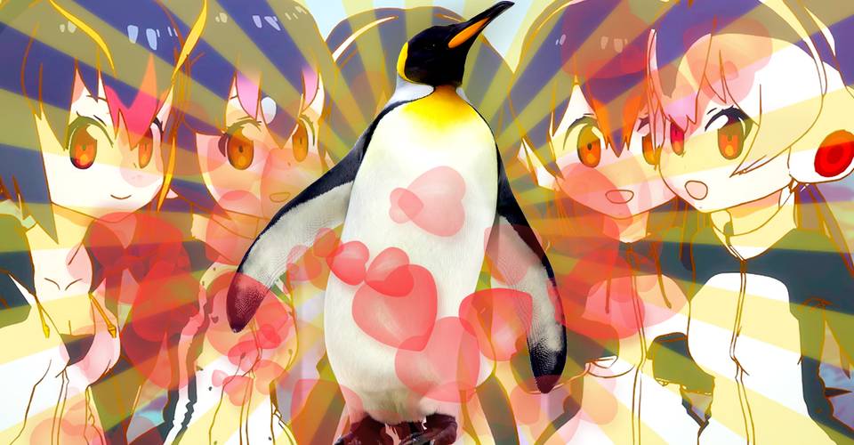 How Anime Saved A Tragic Real Life Penguin S Love Life Cbr How Anime Saved A Tragic Real Life Penguin S Love Life Cbr