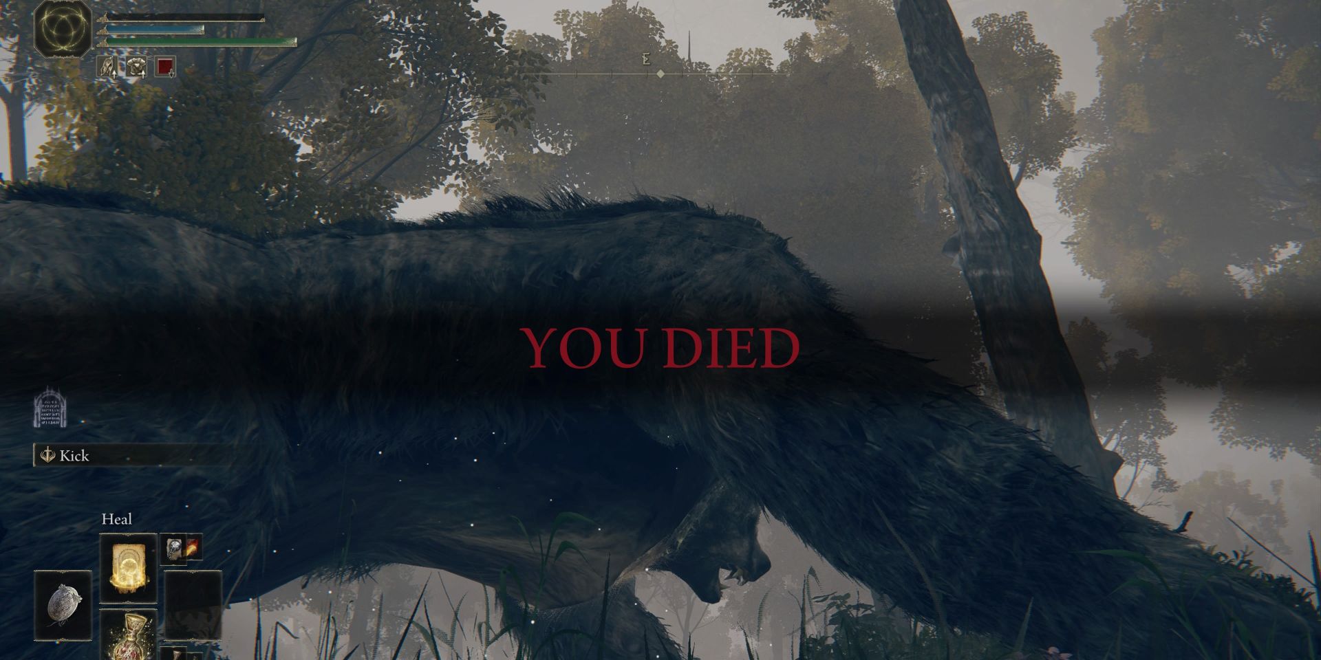 you died
