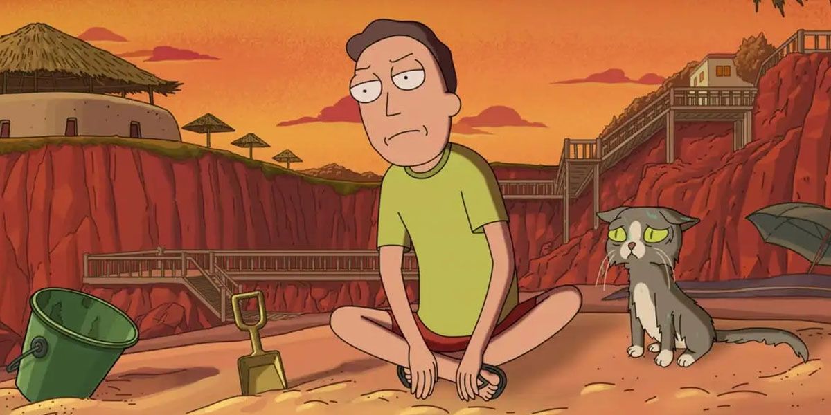 Jerry Smith And Talking Cat In Rick And Morty