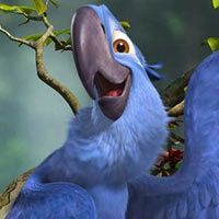 Review Uninspired And Tedious Rio 2 Misses The Mark Cbr