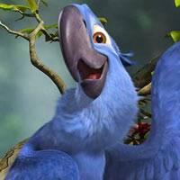 Review Uninspired And Tedious Rio 2 Misses The Mark Cbr Review Uninspired And Tedious Rio 2 Misses The Mark Cbr